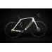 LOOK 795 Blade RS Disc Proteam White Glossy Ult Di2 R38D L