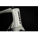 LOOK 795 Blade RS Disc Proteam White Glossy Ult Di2 R38D L