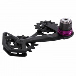 SRAM REAR DERAILLEUR CAGE ASSEMBLY KIT GX T-TYPE EAGLE AXS (FULL REPLACEMENT CAGE ASSEMBLY INCL