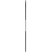 ATOMIC běžky PRO C1 Skintec med 195cm