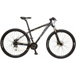 SCUD MTB 29" Parus Altus 3x8 disc grey-ty 17