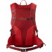 SALOMON batoh Trailblazer 20 red dahlia/high risk red