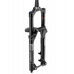 ROCKSHOX Vidlice Domain Gold Isolator RC3 - Crown 29" Boost™ 15x110 170mm Black Alum Str