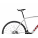 LOOK 765 Optimum 2 Disc Metallic Silver True Blood Satin 105 Mix 12 Shimano Wh-RS171 L/53,5 cm