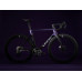 LOOK Rám 795 Blade 2 RS Frameset Black Roaring Thunder Satin