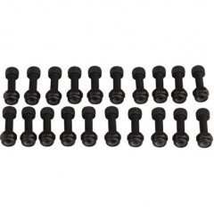 RACE FACE náhradní díl PEDAL PIN KIT, CHESTER, PIN/NUT, 20 SETS
