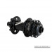 REVERSE Single Speed Kit Expert XD 13 zubů Black