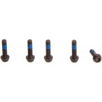 ROCKSHOX Kit šroubů pro blatník - M3-.5X11MM BUTTON HEAD (5ks) - ZEB A1+, LYRIK D1+, PIKE C1+, DOMA