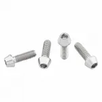 WOLF TOOTH šrouby na košík Titanium 4ks