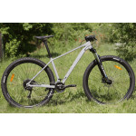GALAXY SKYLAB 1.0 29" ŠEDÁ - TESTBIKE vel:17"
