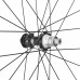 FULCRUM Sada kol Sharq 47 Gravel Carbon C30 XDR