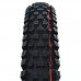 SCHWALBE plášť Albert 27.5x2.50 TRAIL PRO TLR Soft radial skládací