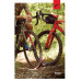 FULCRUM Sada kol Rapid Red 300 2WF C24 Front HH12 Rear HH12/142 HG
