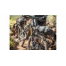 TOPEAK nosič TETRARACK M1