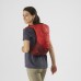 SALOMON batoh XT10 goji berry/madder brown