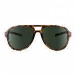TSG Brýle sluneční Cruise Sunglasses Brown