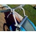 CHARIOT CX1 blue disc
