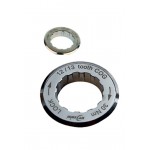 DT SWISS Lockring pro kazety camapgnolo s 11 zuby