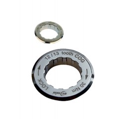 DT SWISS Lockring pro kazety camapgnolo s 12 a 13 zuby