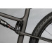 SANTA CRUZ Blur 4 Carbon C/S XC black 2022