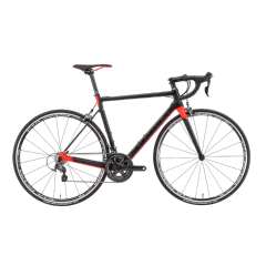 SILVERBACK SIRELLI 2