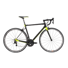 SILVERBACK SIRELLI 3